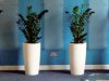 UBS reduces Office Plants to save costs