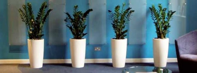 UBS reduces Office Plants to save costs