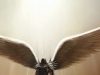 Raiffeisen –Tarnished Leader – Whistleblowing victory